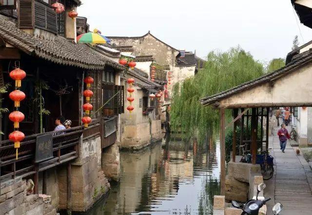 细胞分裂4